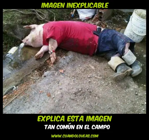 cuando lo veas