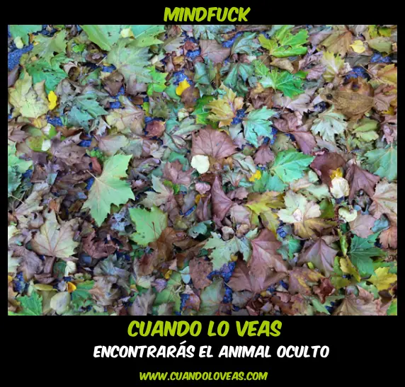 Mindfuck [Mente de mierd*]