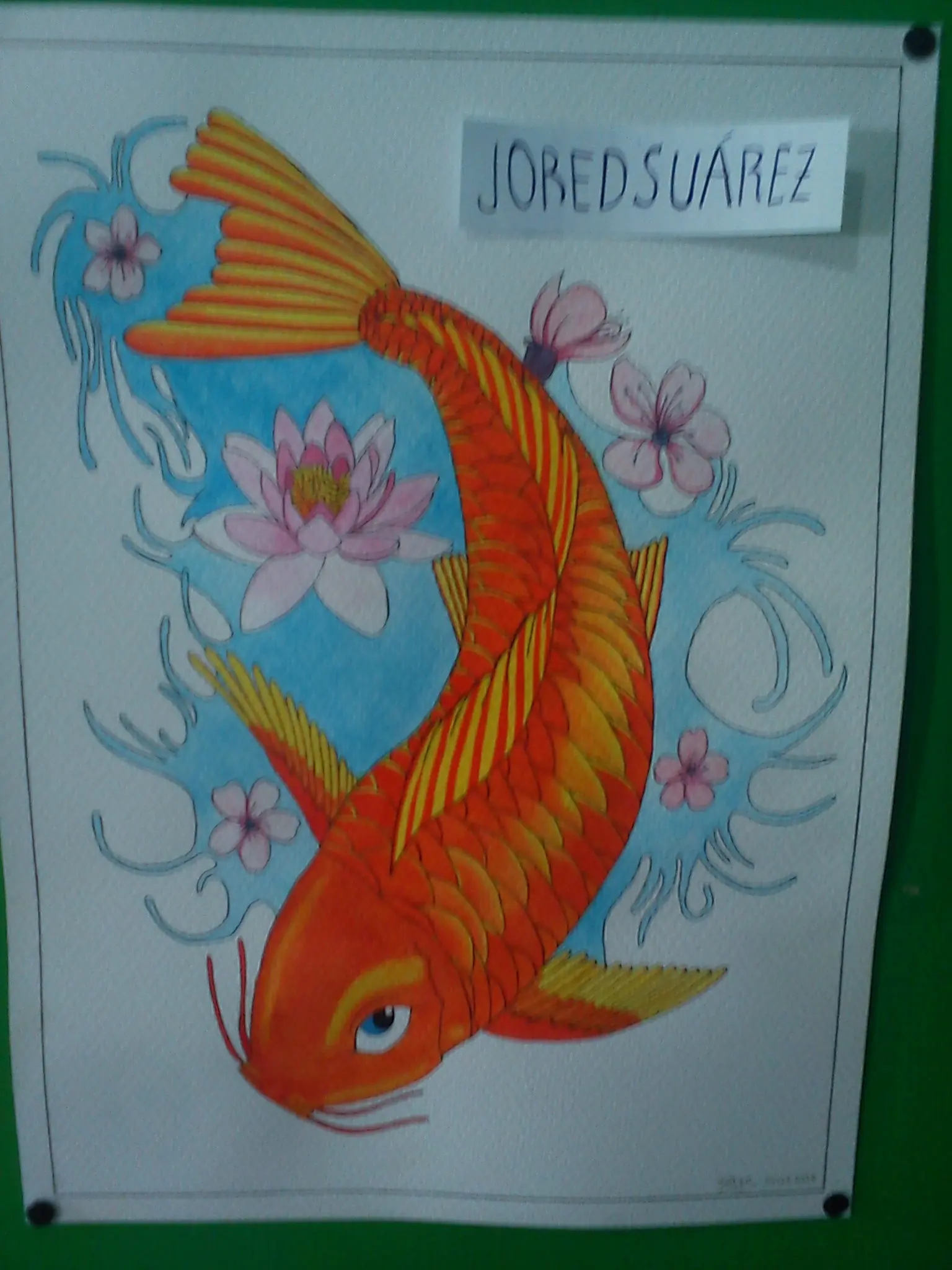 acuarelas