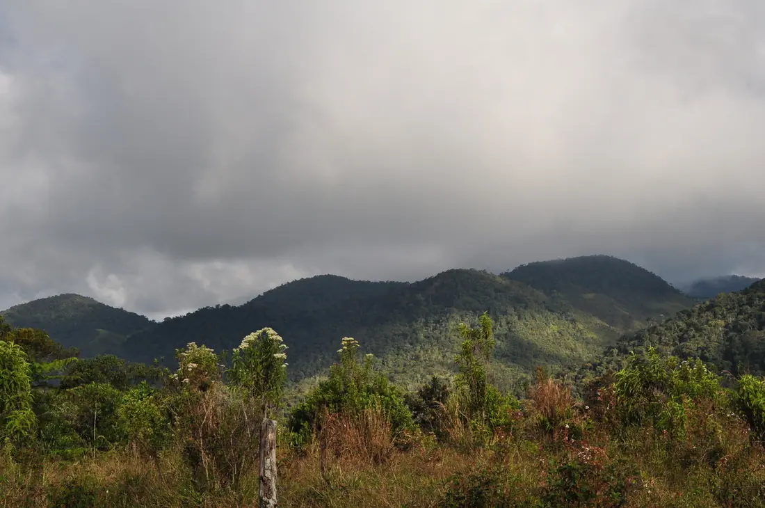 La Cordillera de Guanacas