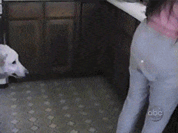 Gifs para divertirse un rato
