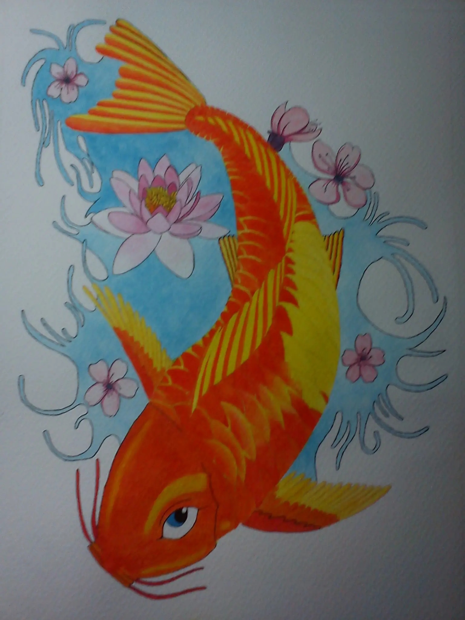 koi