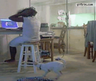 Gifs para divertirse un rato