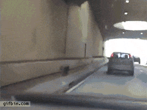 Gifs