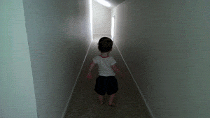 Gifs para divertirse un rato