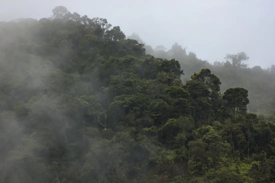 Colombia
