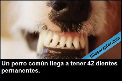 cuantas