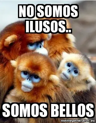 vejez
