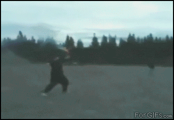 Gifs