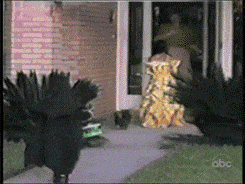 Gifs para divertirse un rato