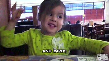 Gifs