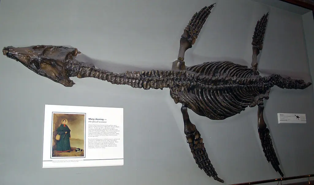 prehistorico
