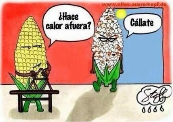 pelotudos
