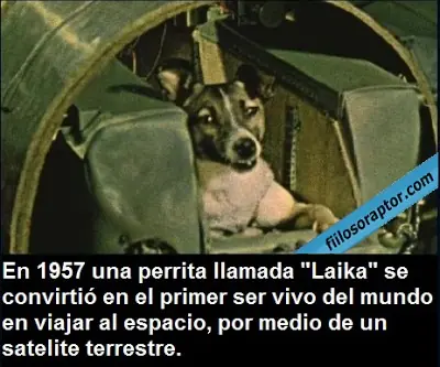 especie