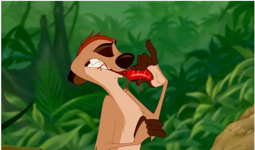 pelicula