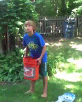 Gifs