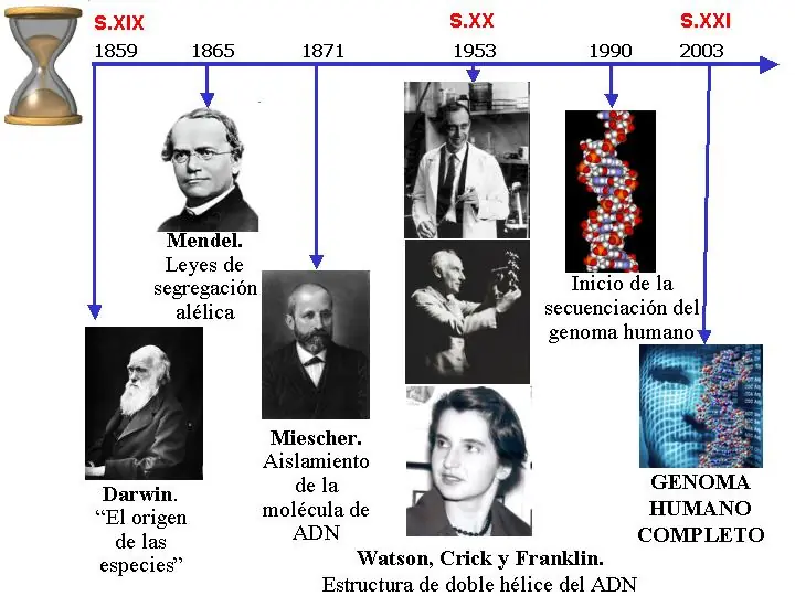 genetica humana