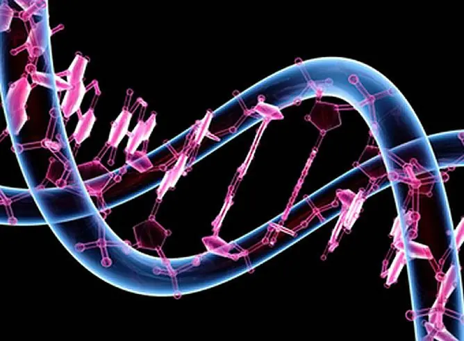 Genética humana: Aprende un poco.