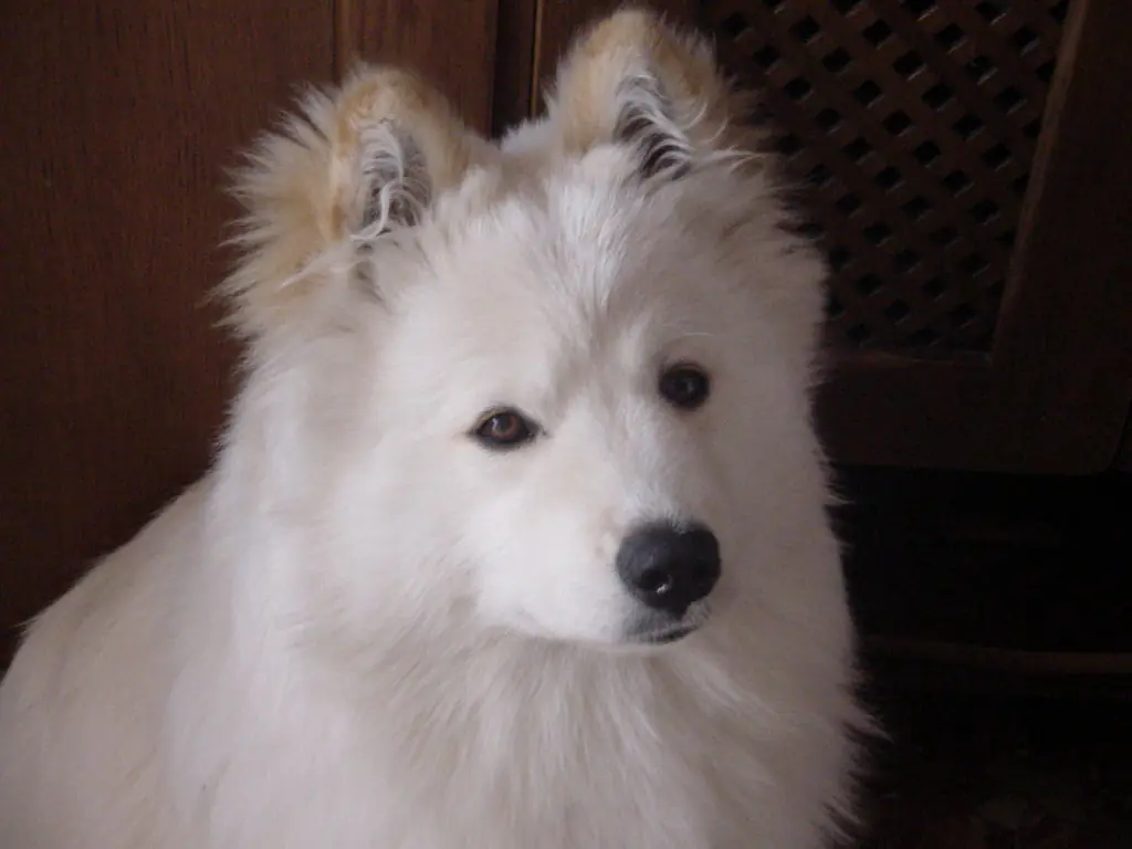 mirada