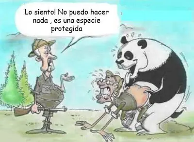 bromas