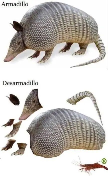 malos