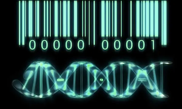 enfermedades geneticas