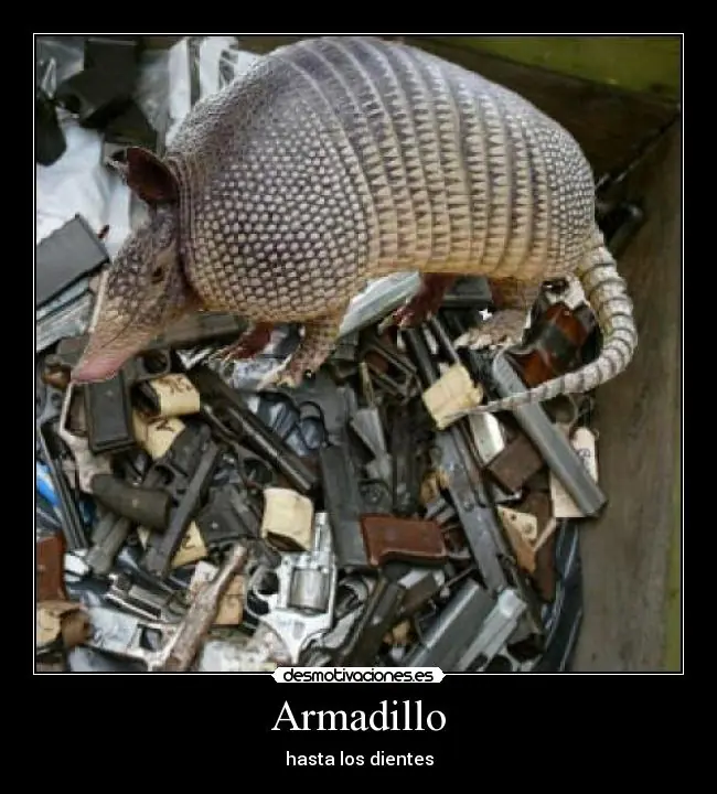 humor