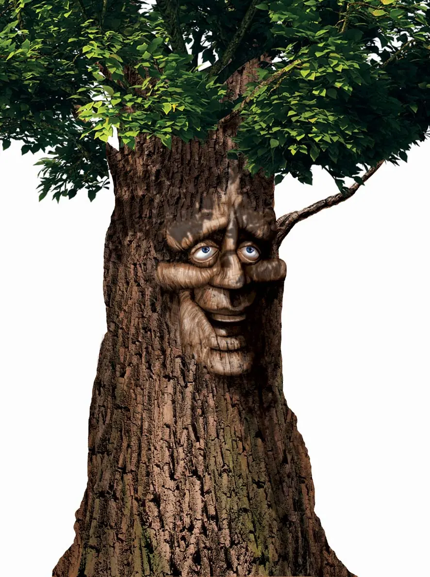 Cosmovisión indígena hombre-arbol, hombre-pájaro