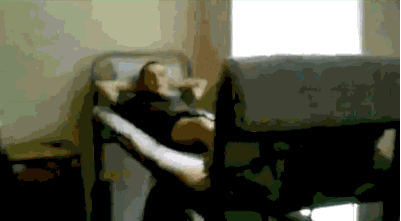 Gifs