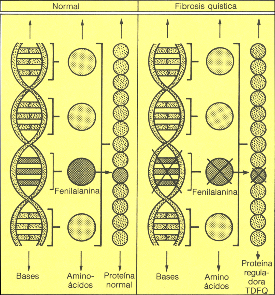 nuestros genes
