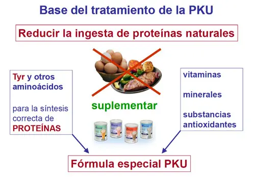 conoce cuerpo