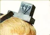 Microchip 2013, la marca de la bestia?