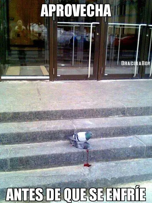 imagenes
