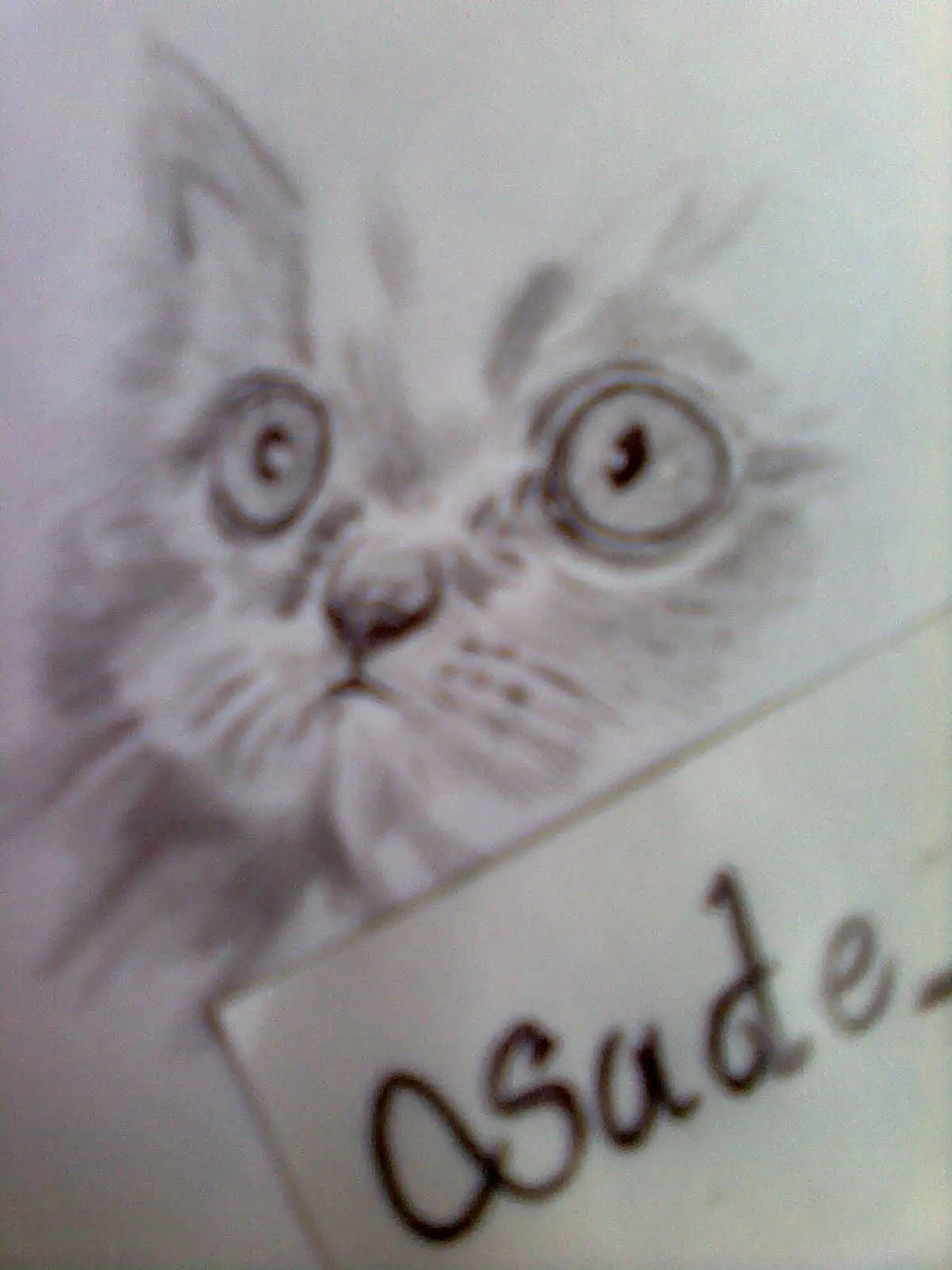 Dibujo