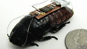 Cucarachas teledirigidas al rescate