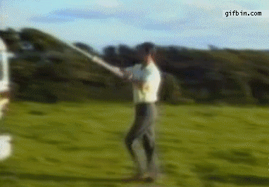 Gifs curiosos y muy divertidos