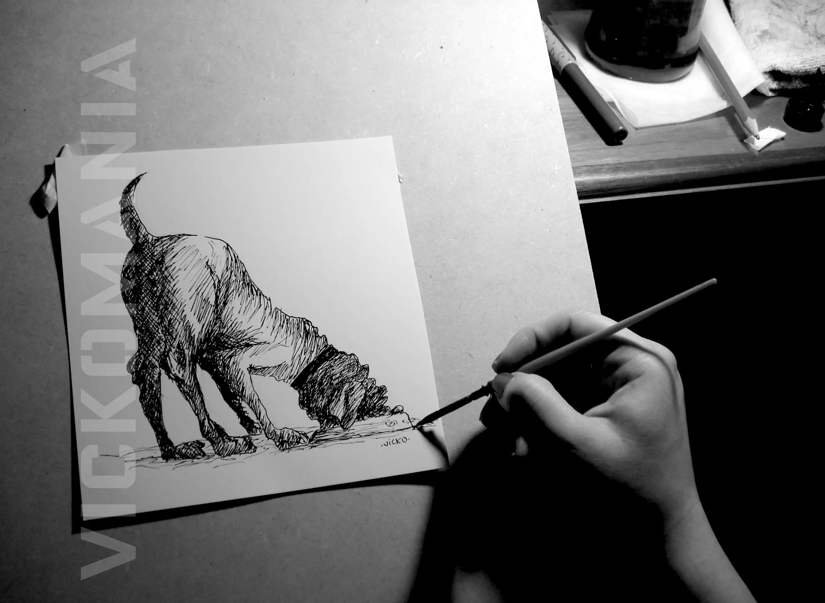 Algunos dibujitos q hice . Plumín y tinta china!