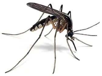 app ahuyenta mosquitos ¿Funciona?