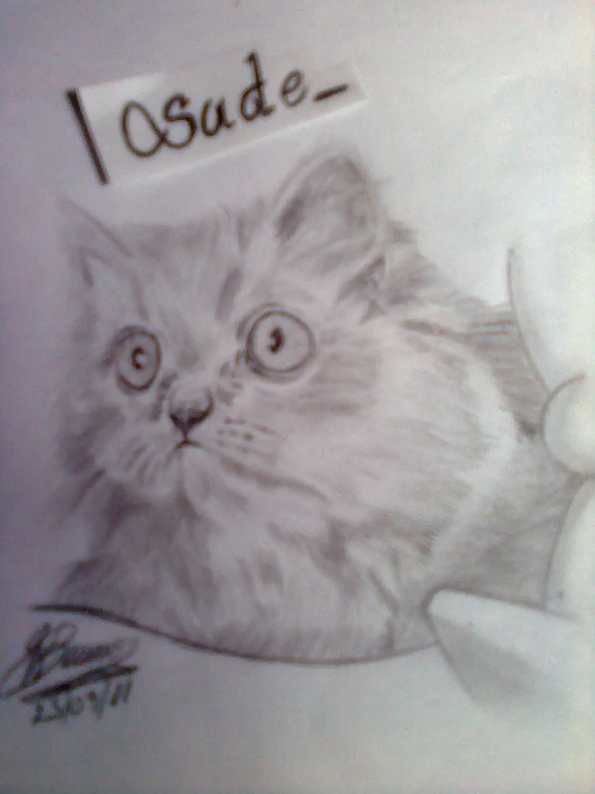 ilustraciones
