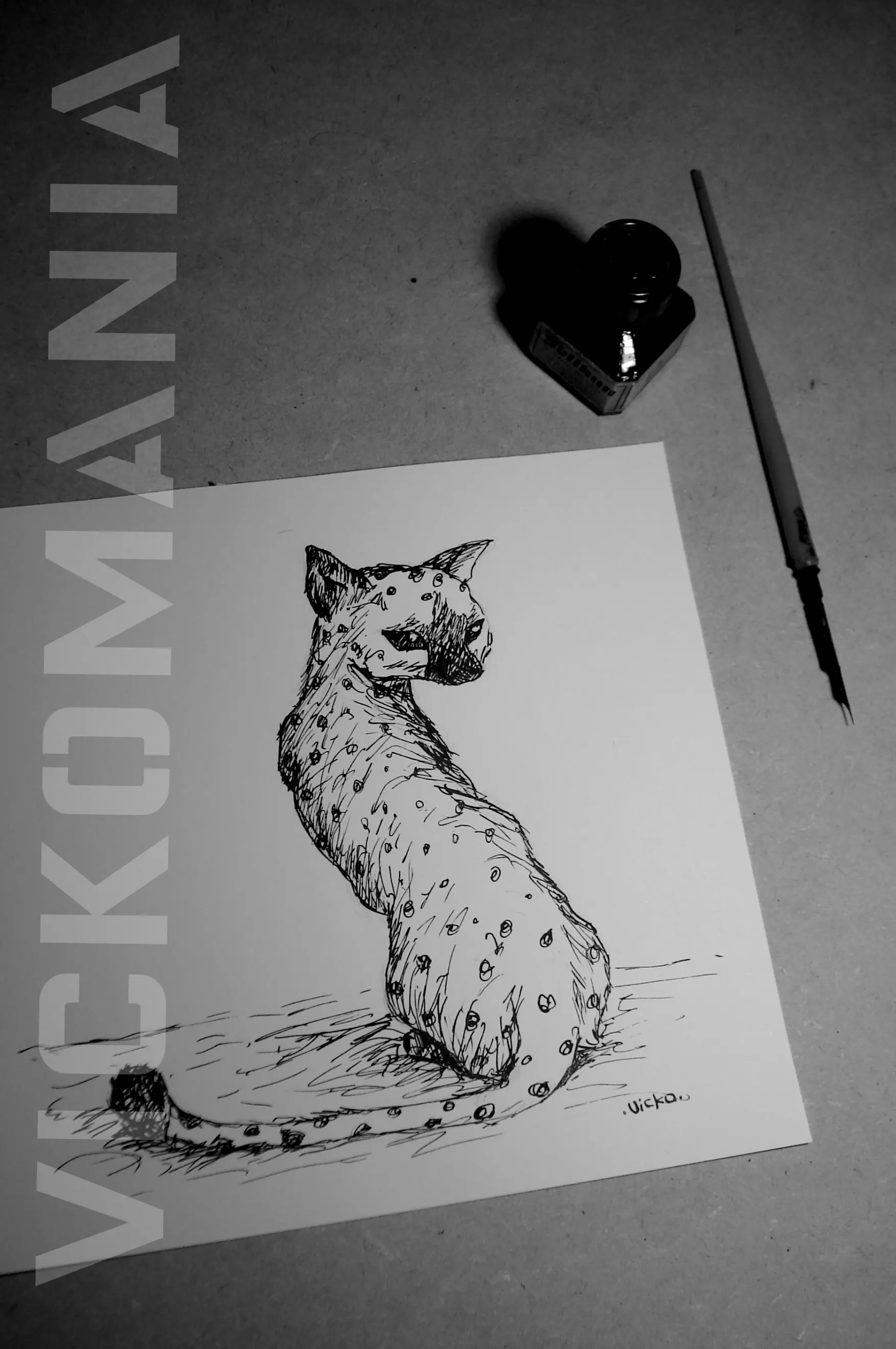gato