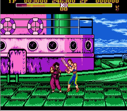 Master fighter nes