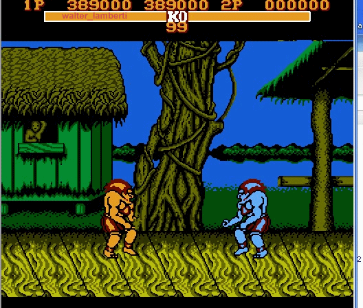 Master fighter nes