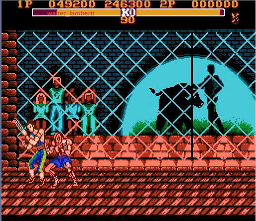 El street fighter de family game (nes)