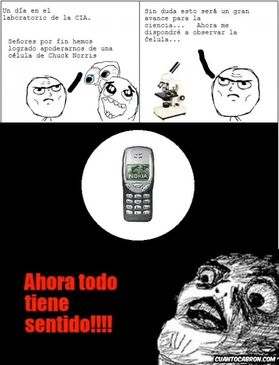 reirte