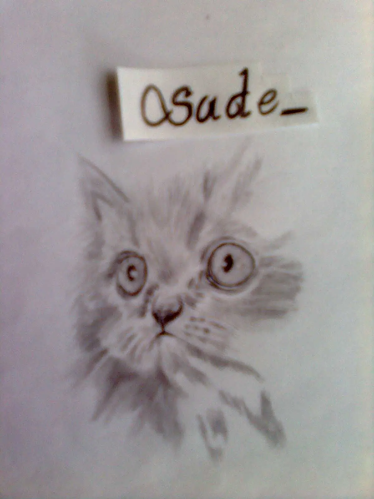 arte