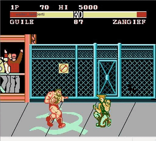 Master fighter nes