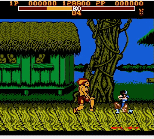 Master fighter nes