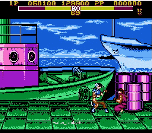 Master fighter nes