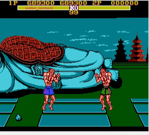 Master fighter nes