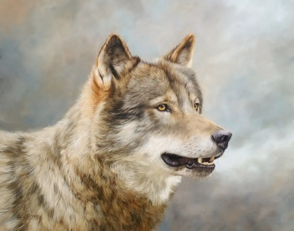 Pintura